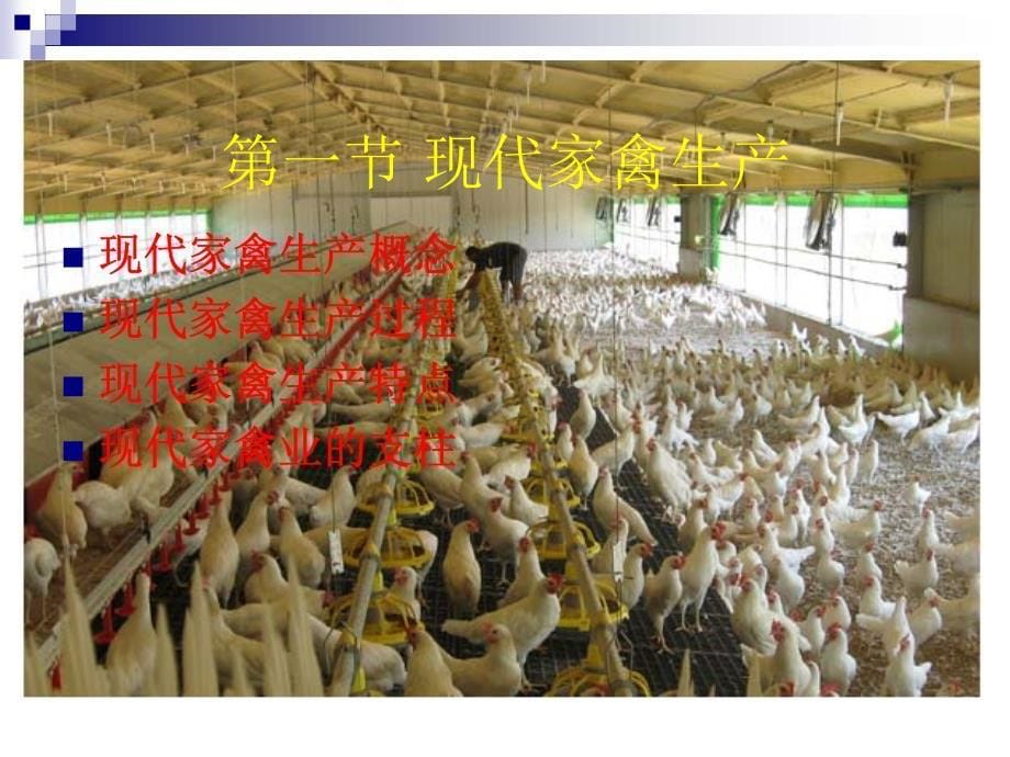 家禽生产学_第5页