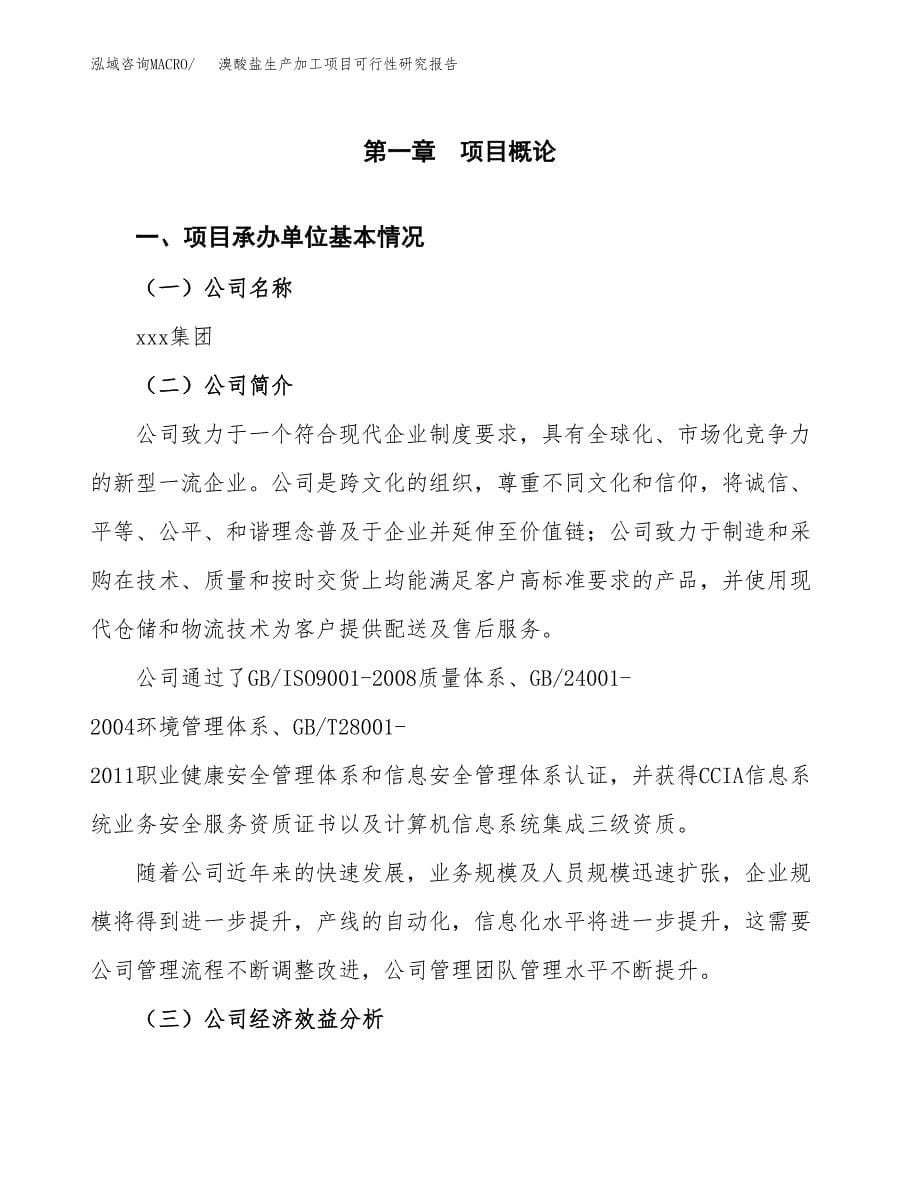 溴酸盐生产加工项目可行性研究报告_第5页