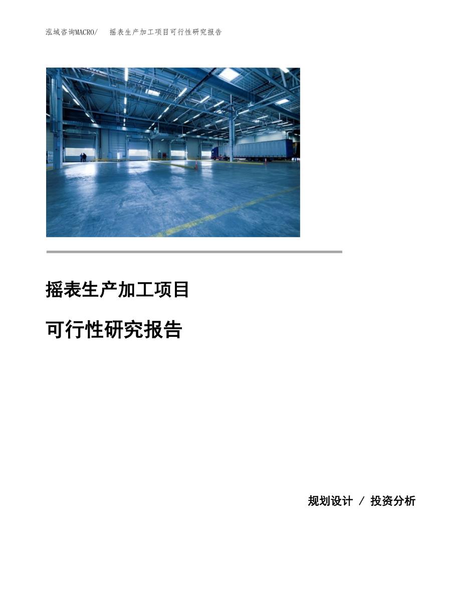 （模板）摇表生产加工项目可行性研究报告_第1页