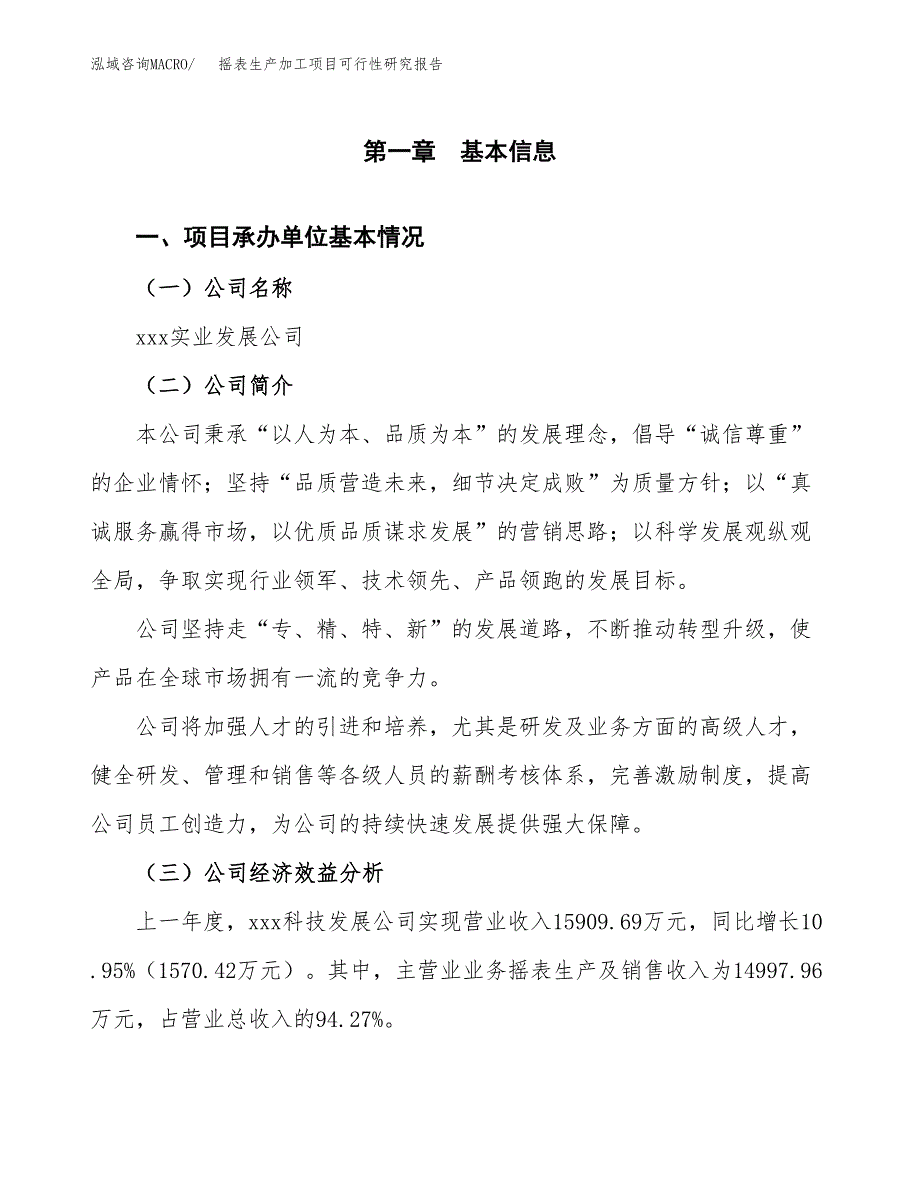 （模板）摇表生产加工项目可行性研究报告_第4页