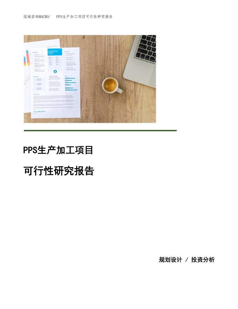 （模板）PPS生产加工项目可行性研究报告_第1页