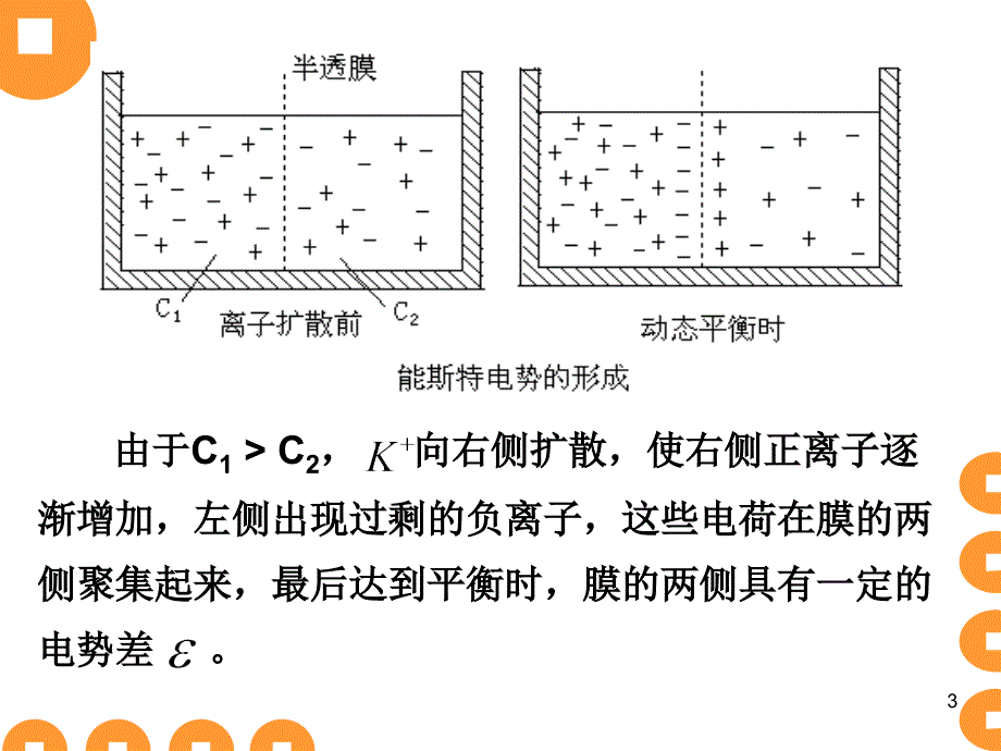 生物膜电位_第3页