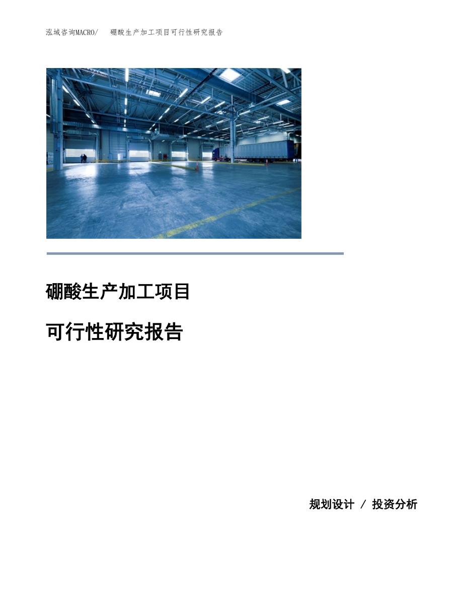 （模板）硼酸生产加工项目可行性研究报告_第1页