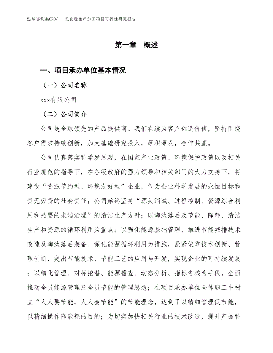 （模板）氮化硅生产加工项目可行性研究报告_第4页