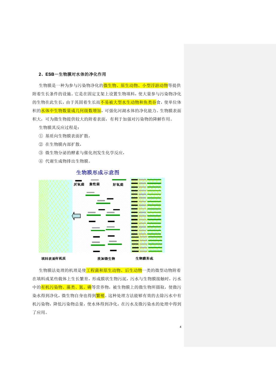 河湖治理技术方案(主要是生物-生态技术)_第4页