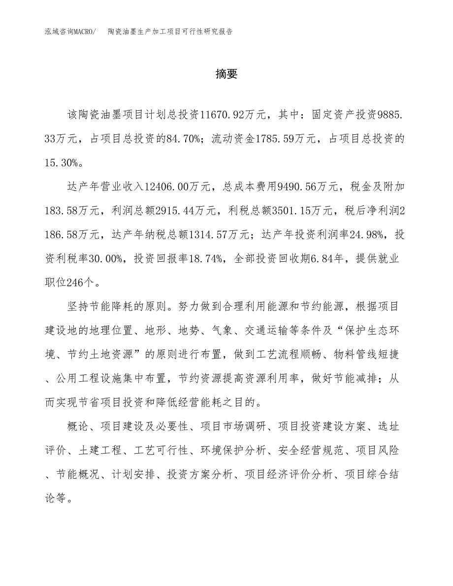 （模板）陶瓷油墨生产加工项目可行性研究报告_第2页