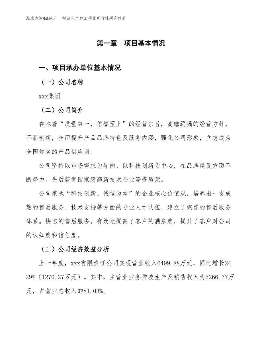 （模板）弹波生产加工项目可行性研究报告_第4页