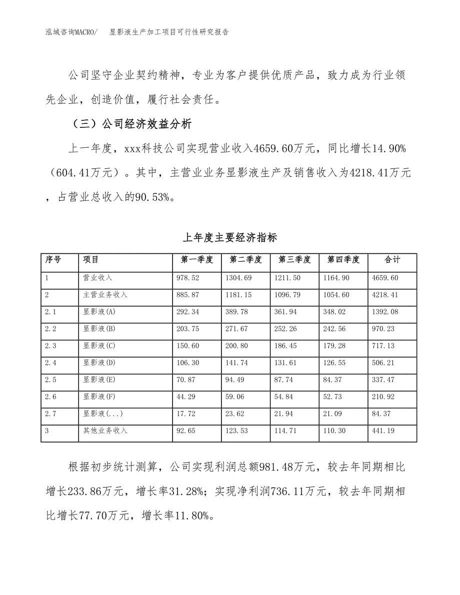 （模板）显影液生产加工项目可行性研究报告_第5页