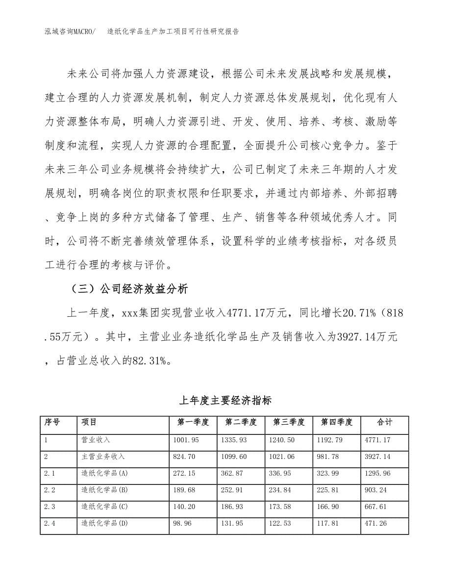 造纸化学品生产加工项目可行性研究报告_第5页