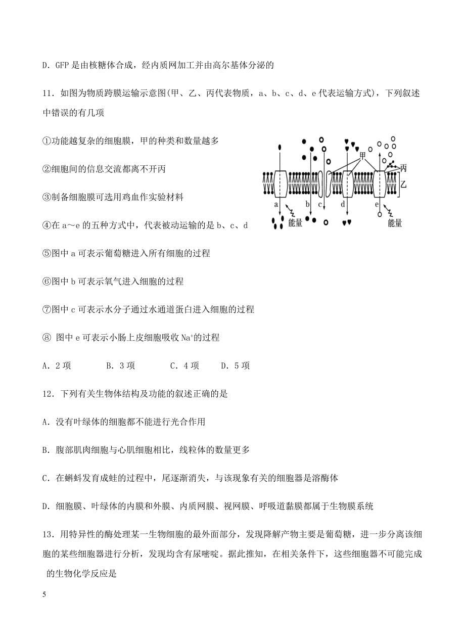甘肃省兰州第一中学2019届高三12月月考生物试卷含答案_第5页