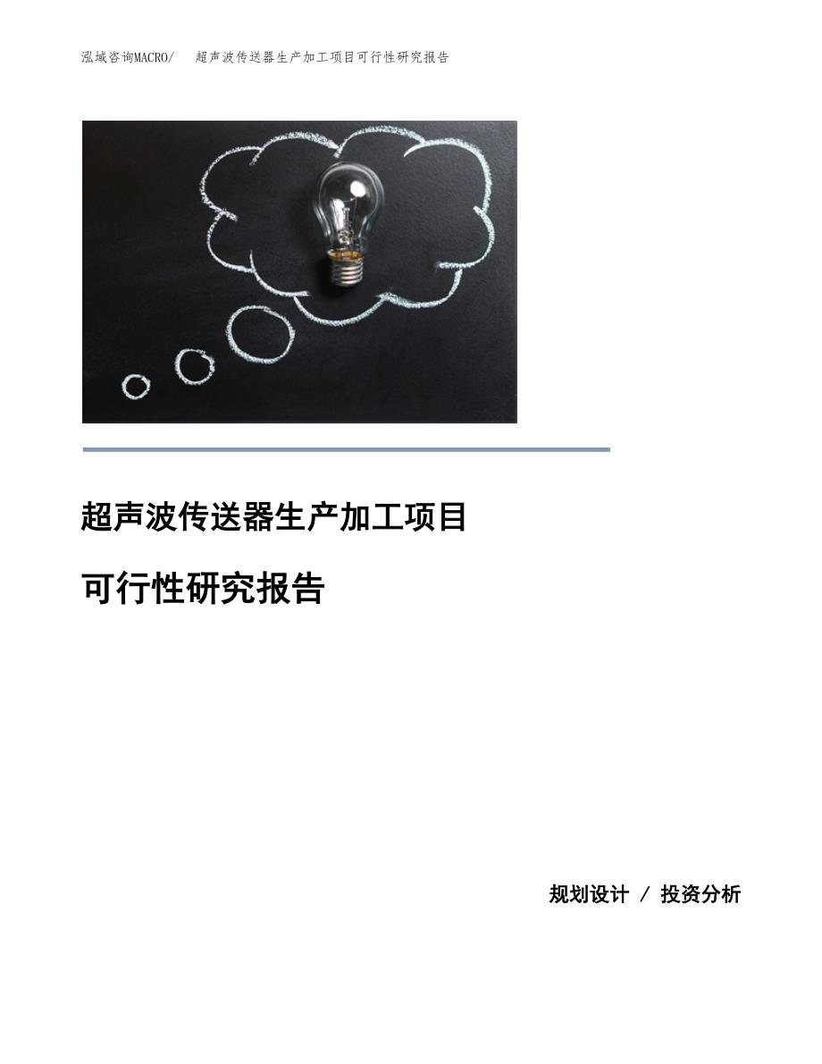 （模板）超声波传送器生产加工项目可行性研究报告_第1页