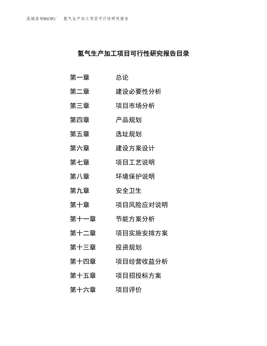 （模板）氢气生产加工项目可行性研究报告_第3页