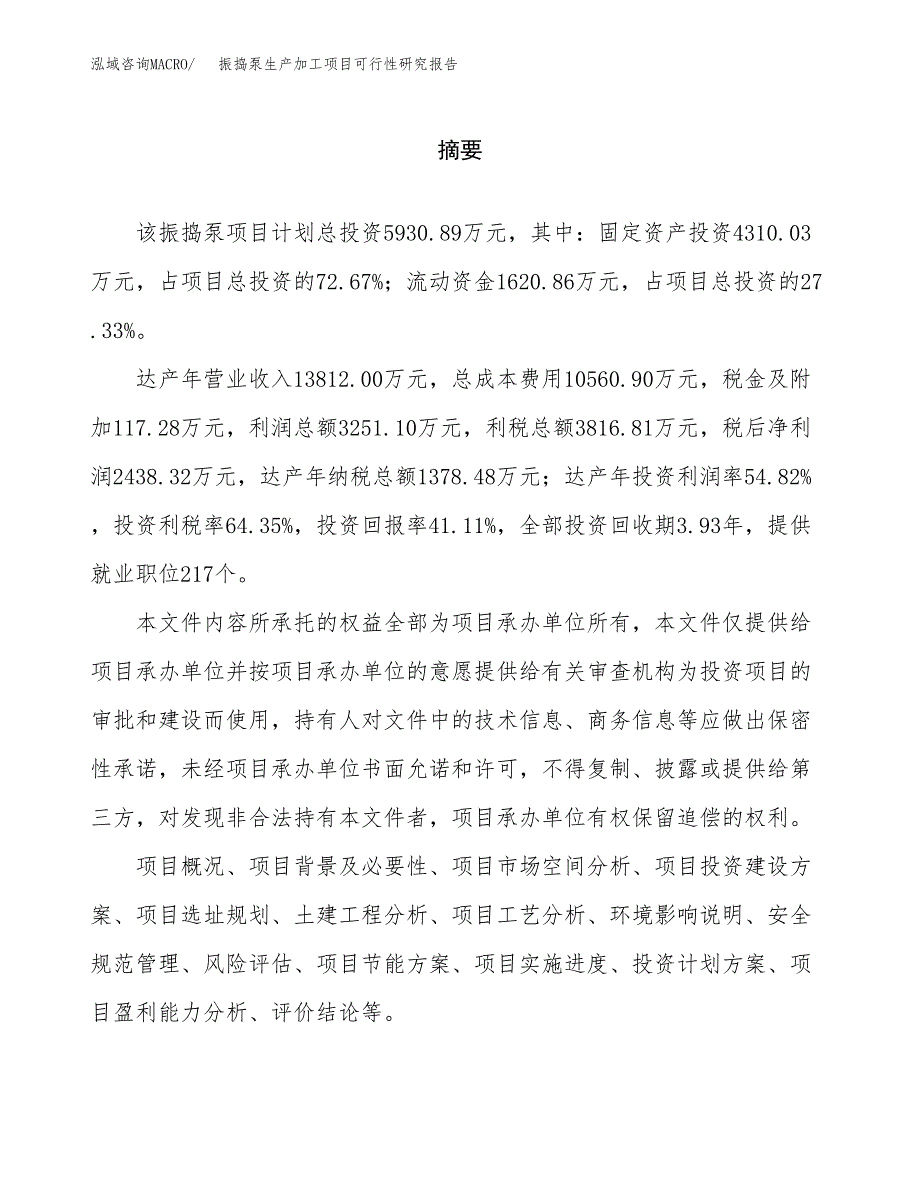 振捣泵生产加工项目可行性研究报告_第2页