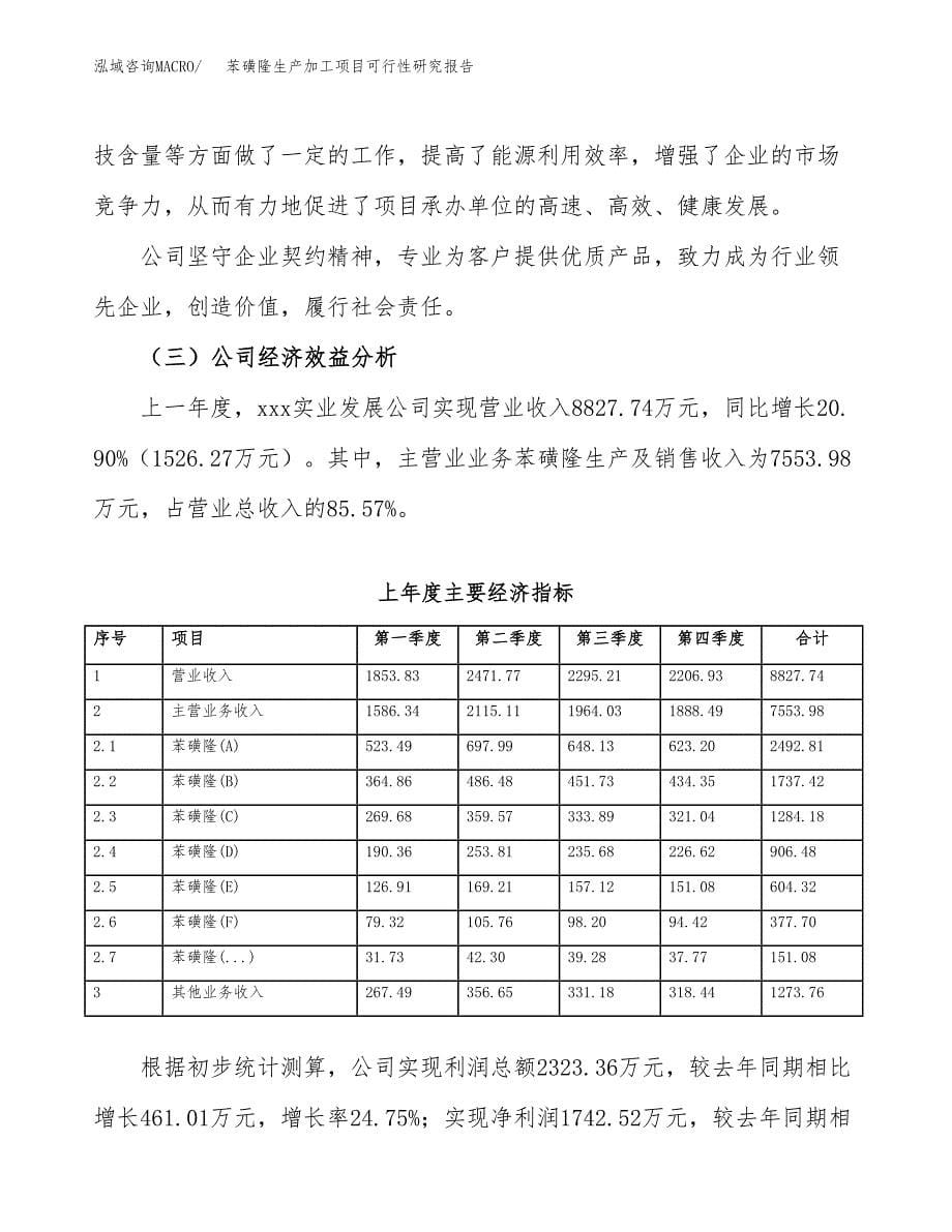 （模板）苯磺隆生产加工项目可行性研究报告_第5页