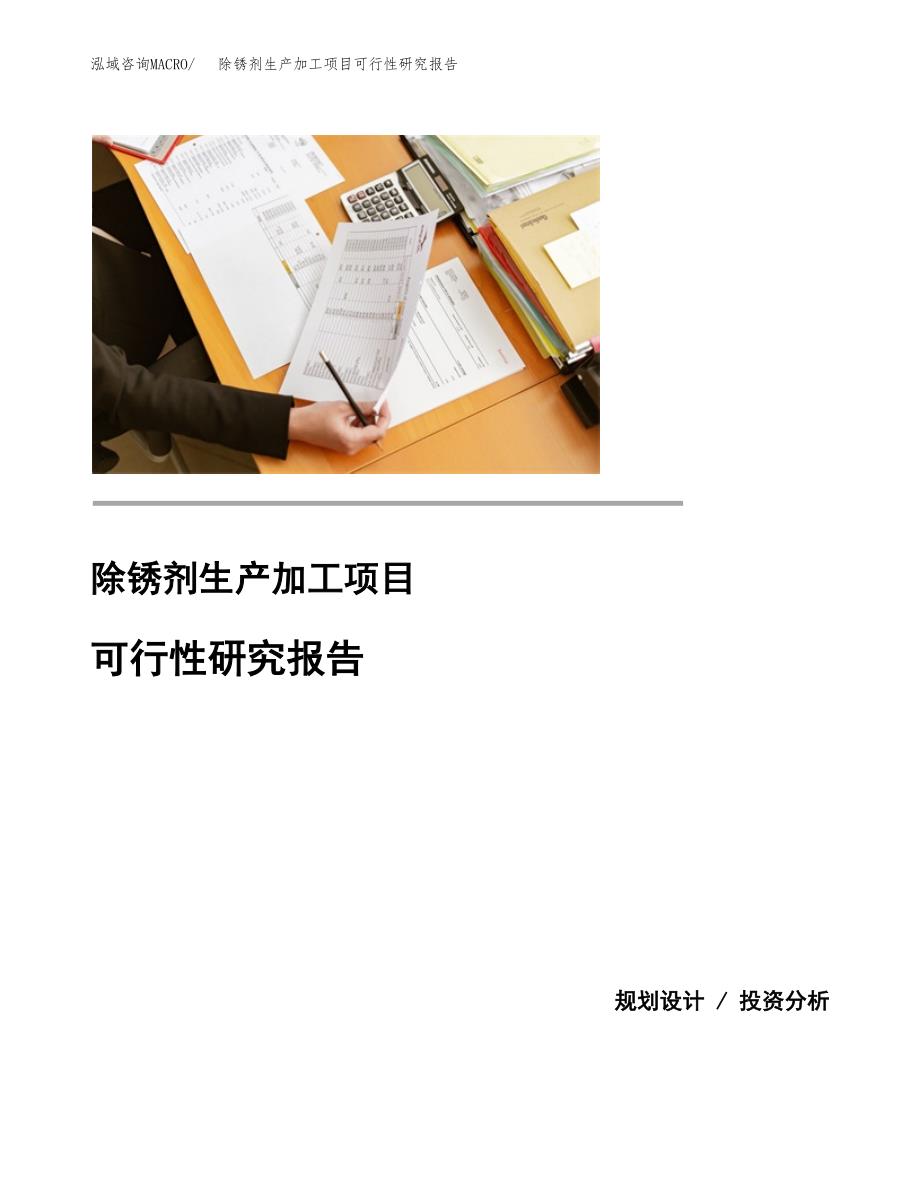 （模板）除锈剂生产加工项目可行性研究报告_第1页