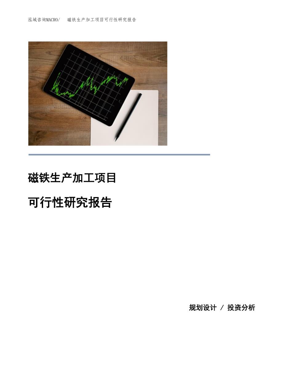 （模板）磁铁生产加工项目可行性研究报告_第1页