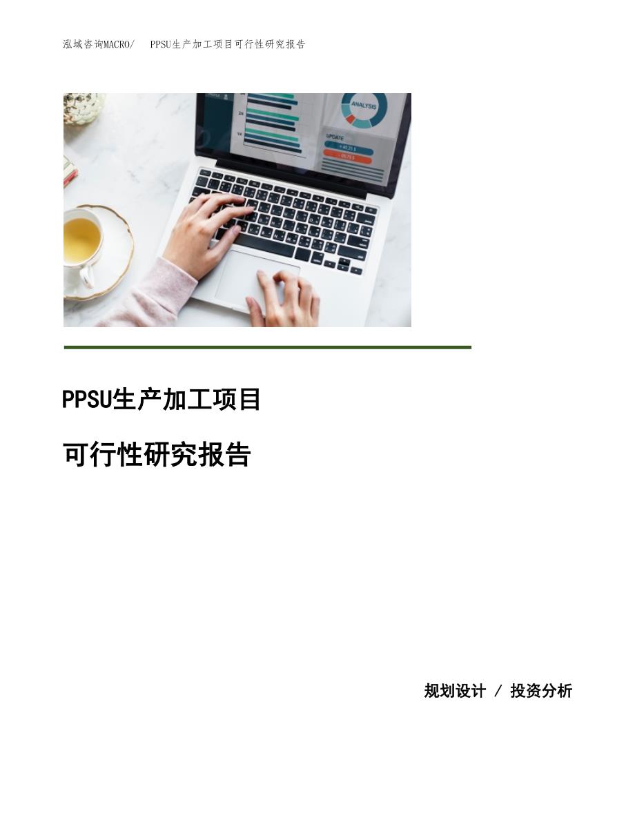 （模板）PPSU生产加工项目可行性研究报告_第1页