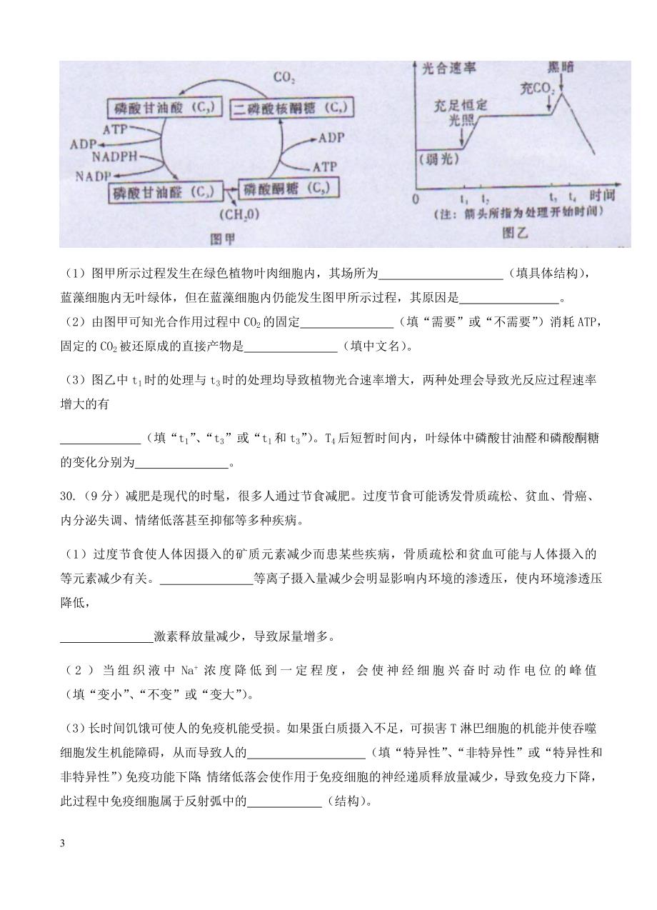 湖南省长沙市2017届高考模拟(二)理综生物试卷 有答案_第3页