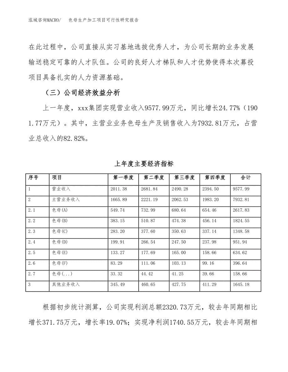 （模板）色母生产加工项目可行性研究报告_第5页