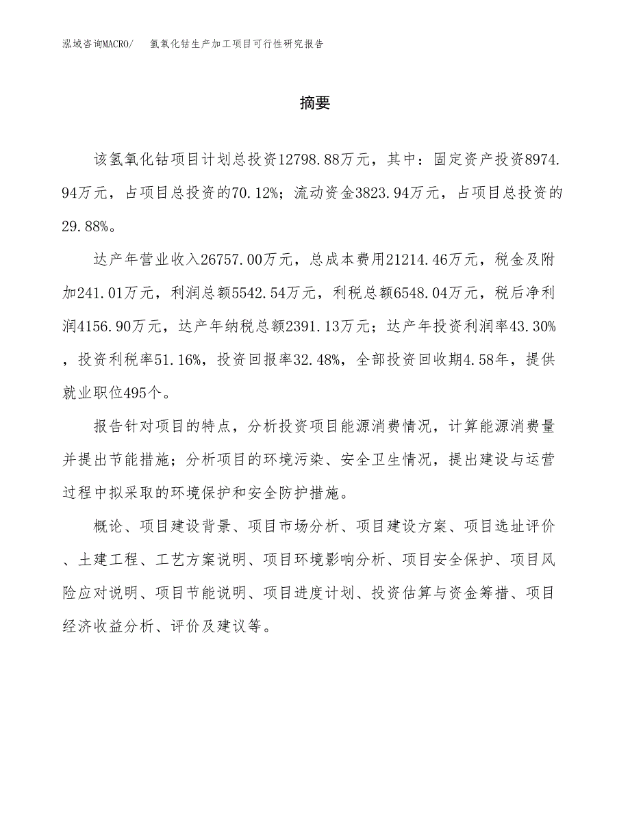 （模板）氢氧化钴生产加工项目可行性研究报告_第2页