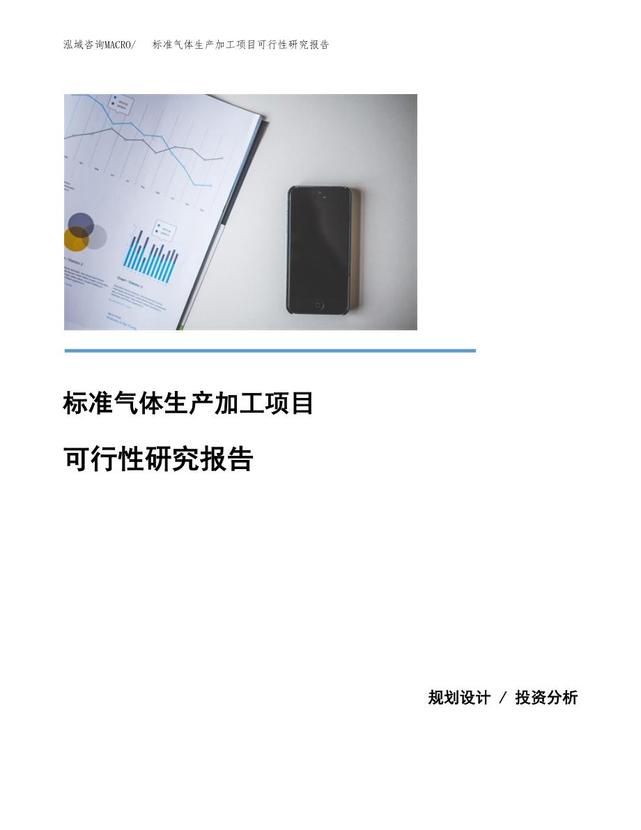 （模板）标准气体生产加工项目可行性研究报告_第1页
