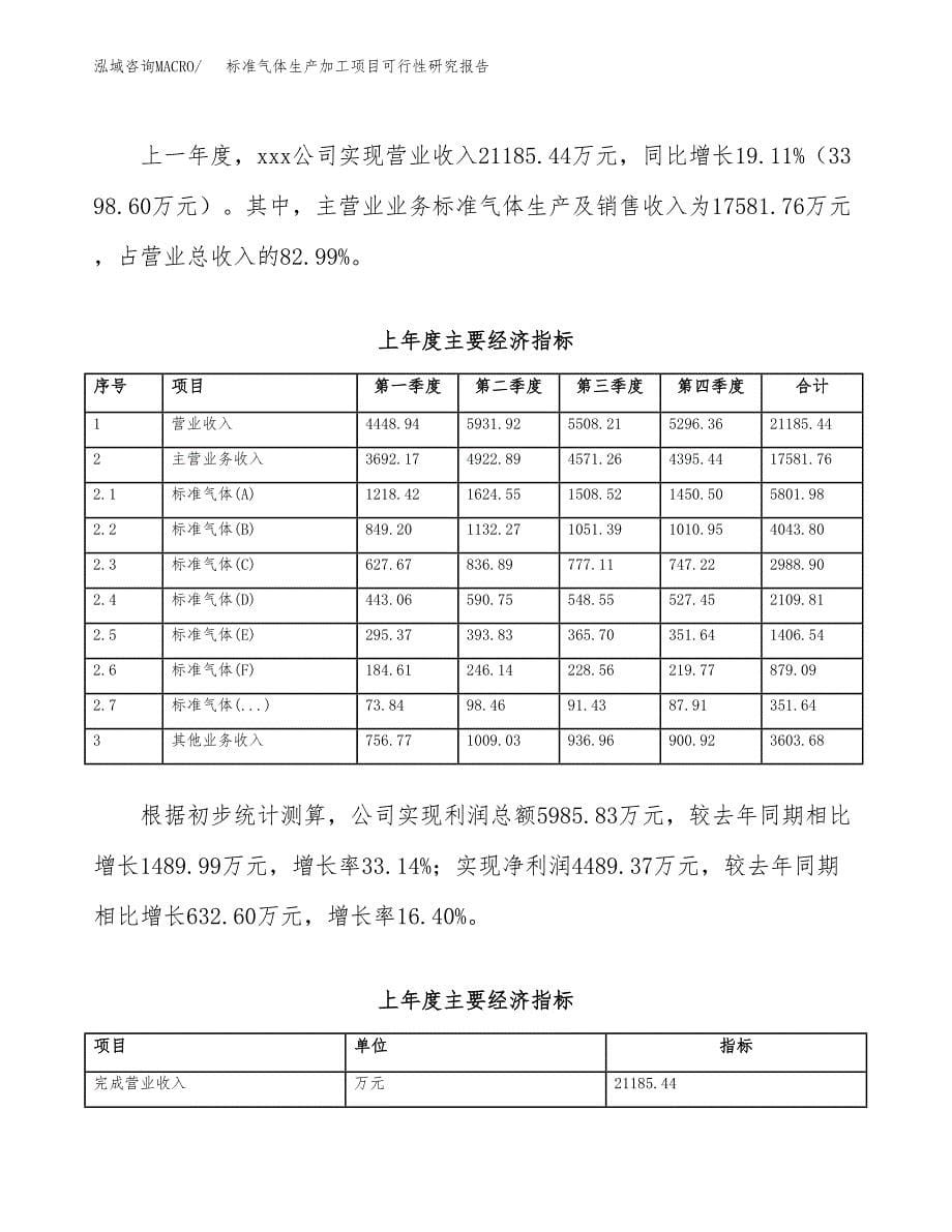 （模板）标准气体生产加工项目可行性研究报告_第5页