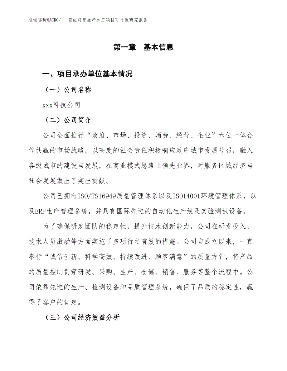 （模板）霓虹灯管生产加工项目可行性研究报告_第4页