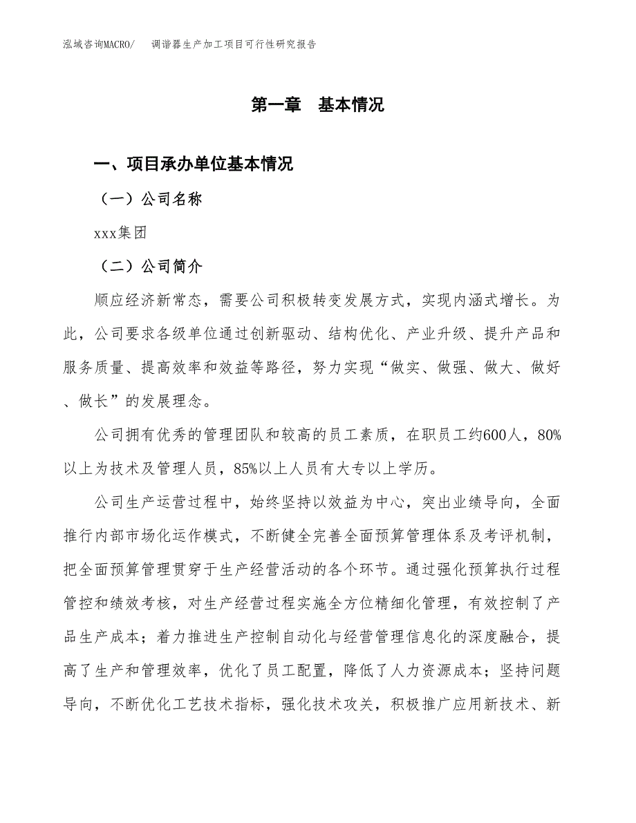 （模板）调谐器生产加工项目可行性研究报告_第4页