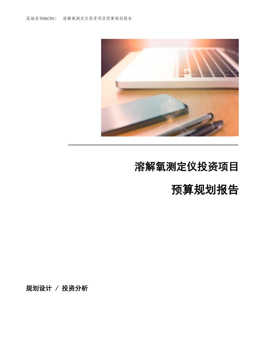 溶解氧测定仪投资项目预算规划报告_第1页