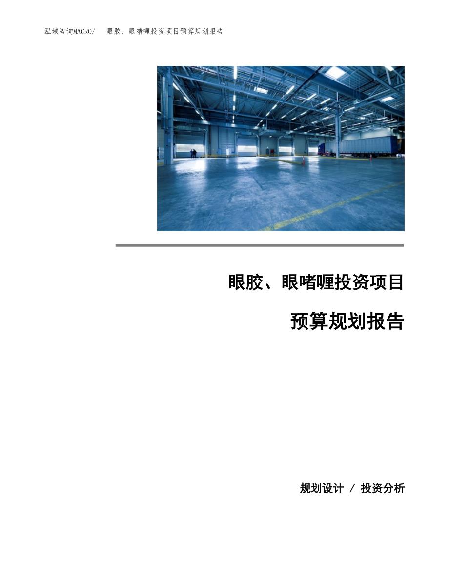 眼胶、眼啫喱投资项目预算规划报告_第1页