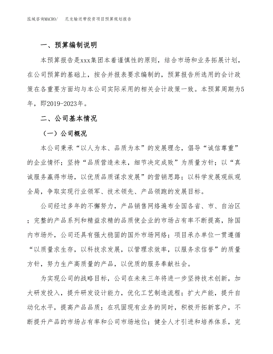 尼龙输送带投资项目预算规划报告_第2页