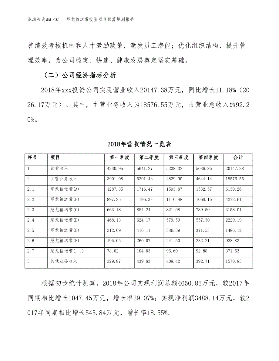 尼龙输送带投资项目预算规划报告_第3页