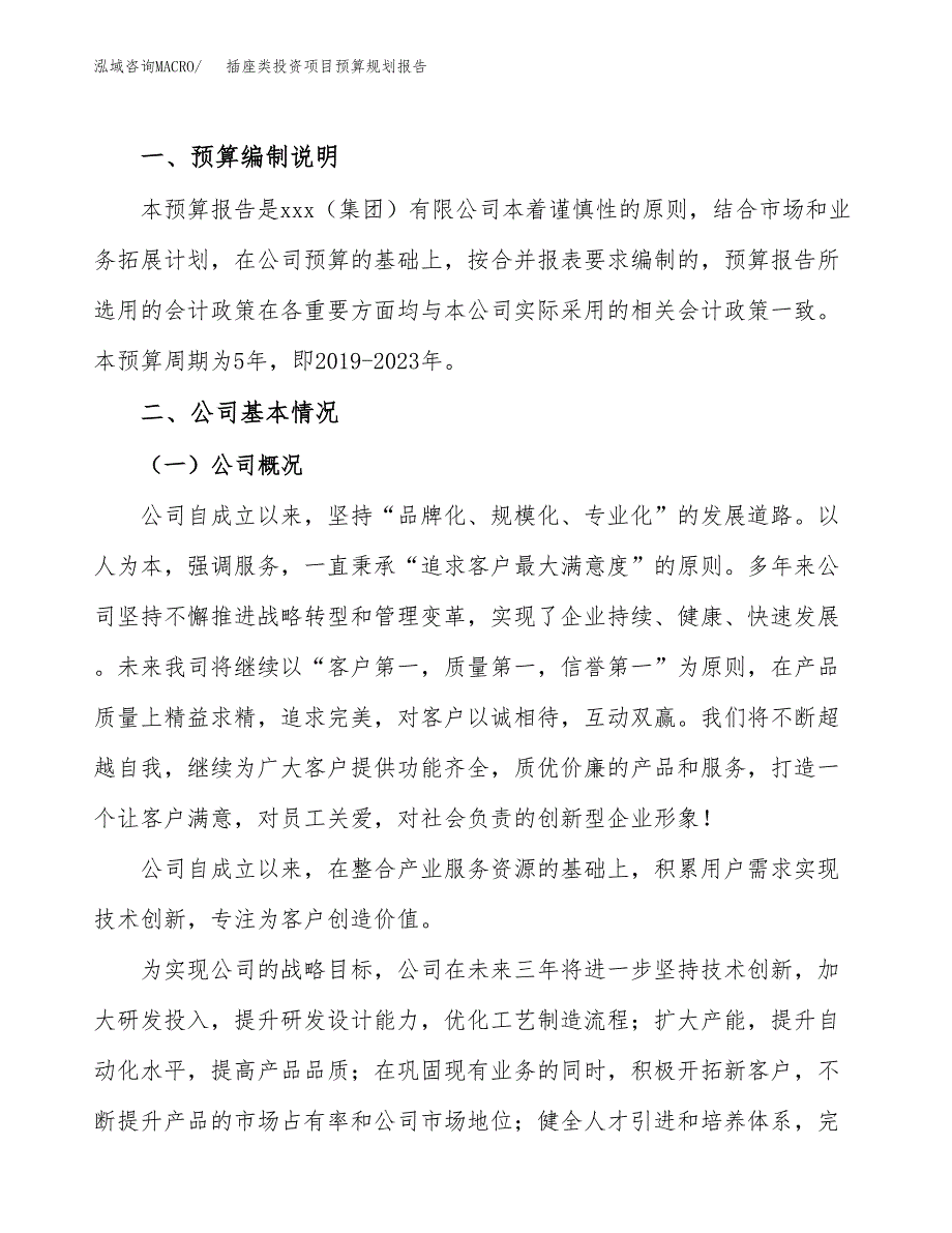 插座类投资项目预算规划报告_第2页