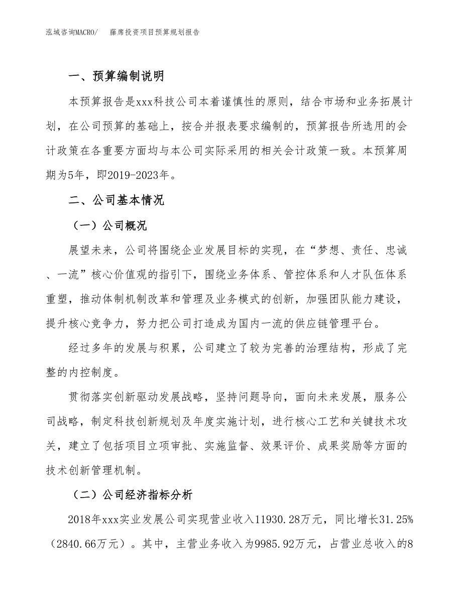 藤席投资项目预算规划报告_第2页