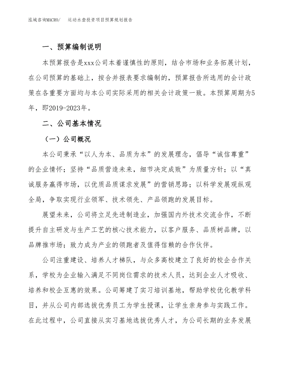 运动水壶投资项目预算规划报告_第2页