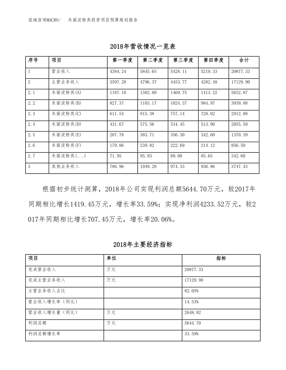 米面淀粉类投资项目预算规划报告_第3页