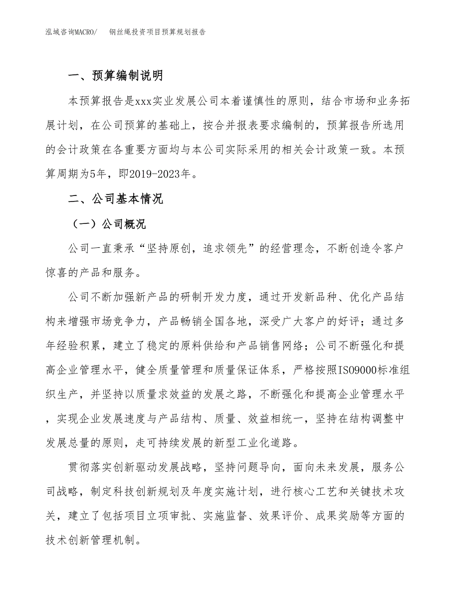 钢丝绳投资项目预算规划报告_第2页