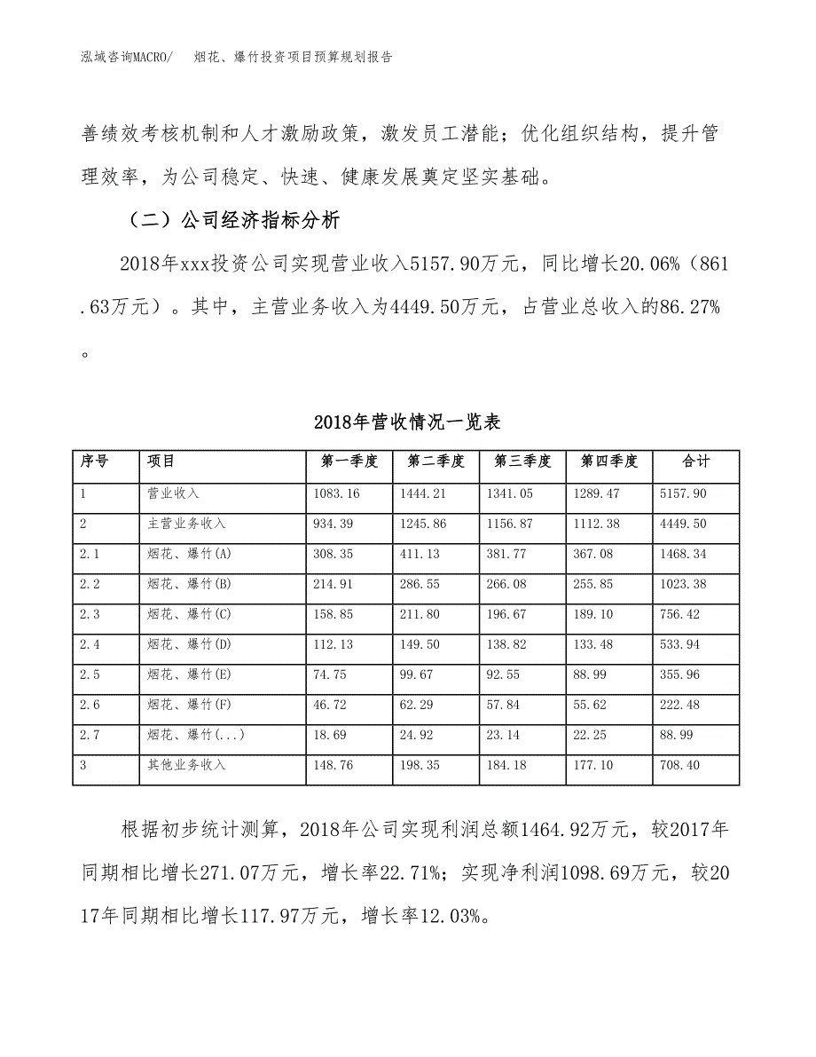 烟花、爆竹投资项目预算规划报告_第3页