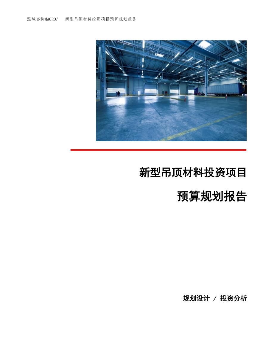 新型吊顶材料投资项目预算规划报告_第1页