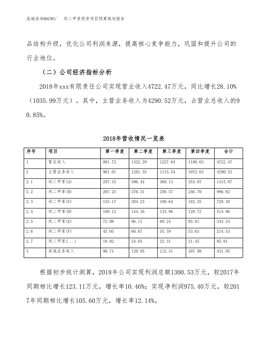 间二甲苯投资项目预算规划报告_第3页