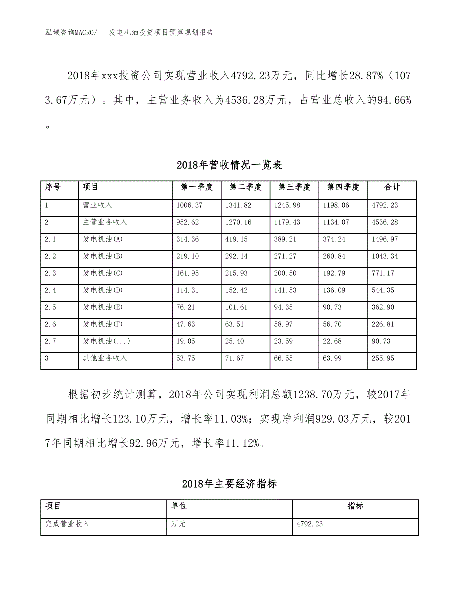 发电机油投资项目预算规划报告_第3页