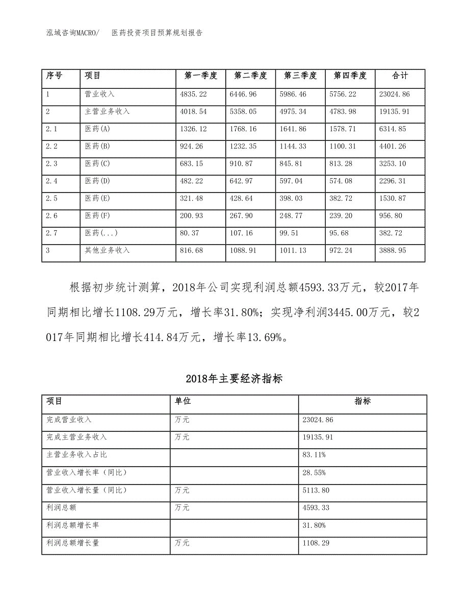 医药投资项目预算规划报告_第3页