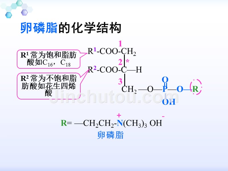 鸡蛋中卵磷脂的提取鉴定_第4页