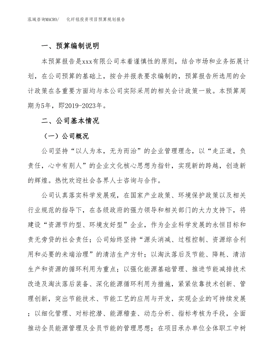 化纤毯投资项目预算规划报告_第2页