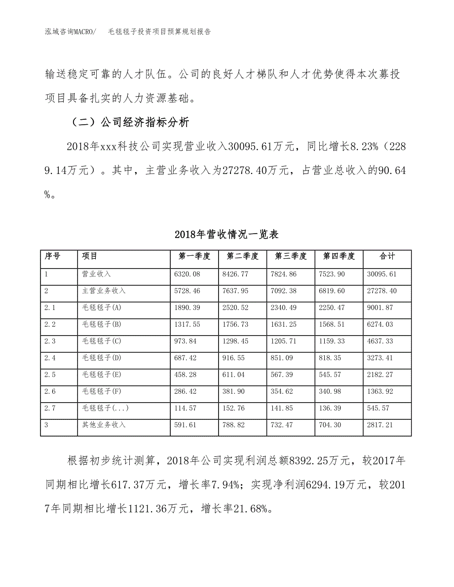 毛毯毯子投资项目预算规划报告_第3页