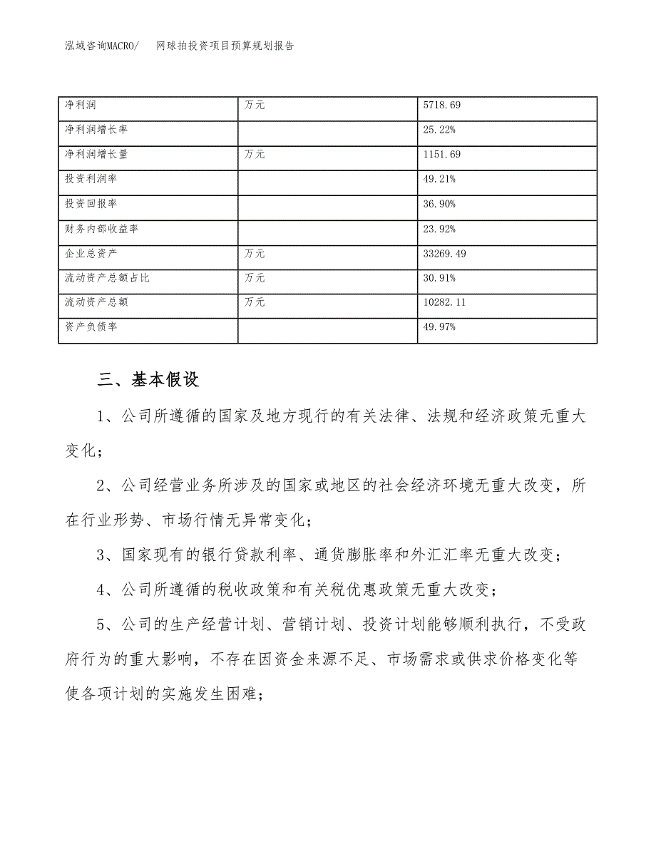 网球拍投资项目预算规划报告_第4页