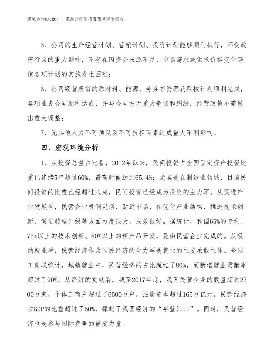 果蔬汁投资项目预算规划报告_第5页