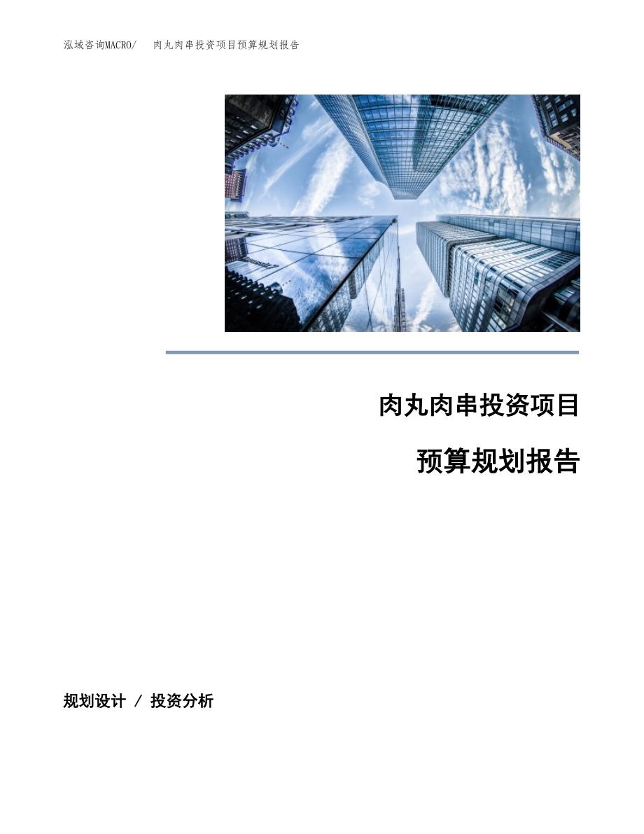 肉丸肉串投资项目预算规划报告_第1页