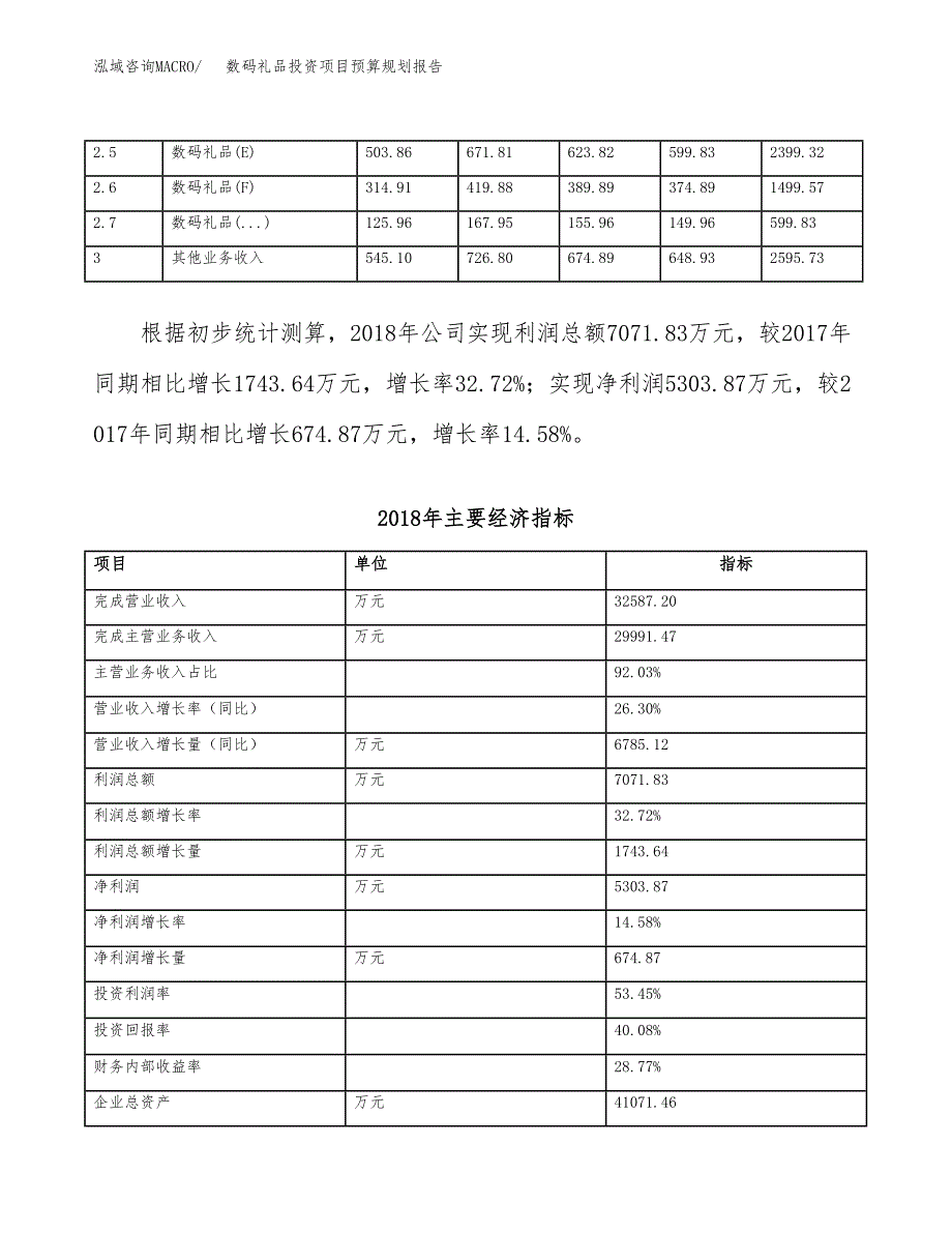 数码礼品投资项目预算规划报告_第4页