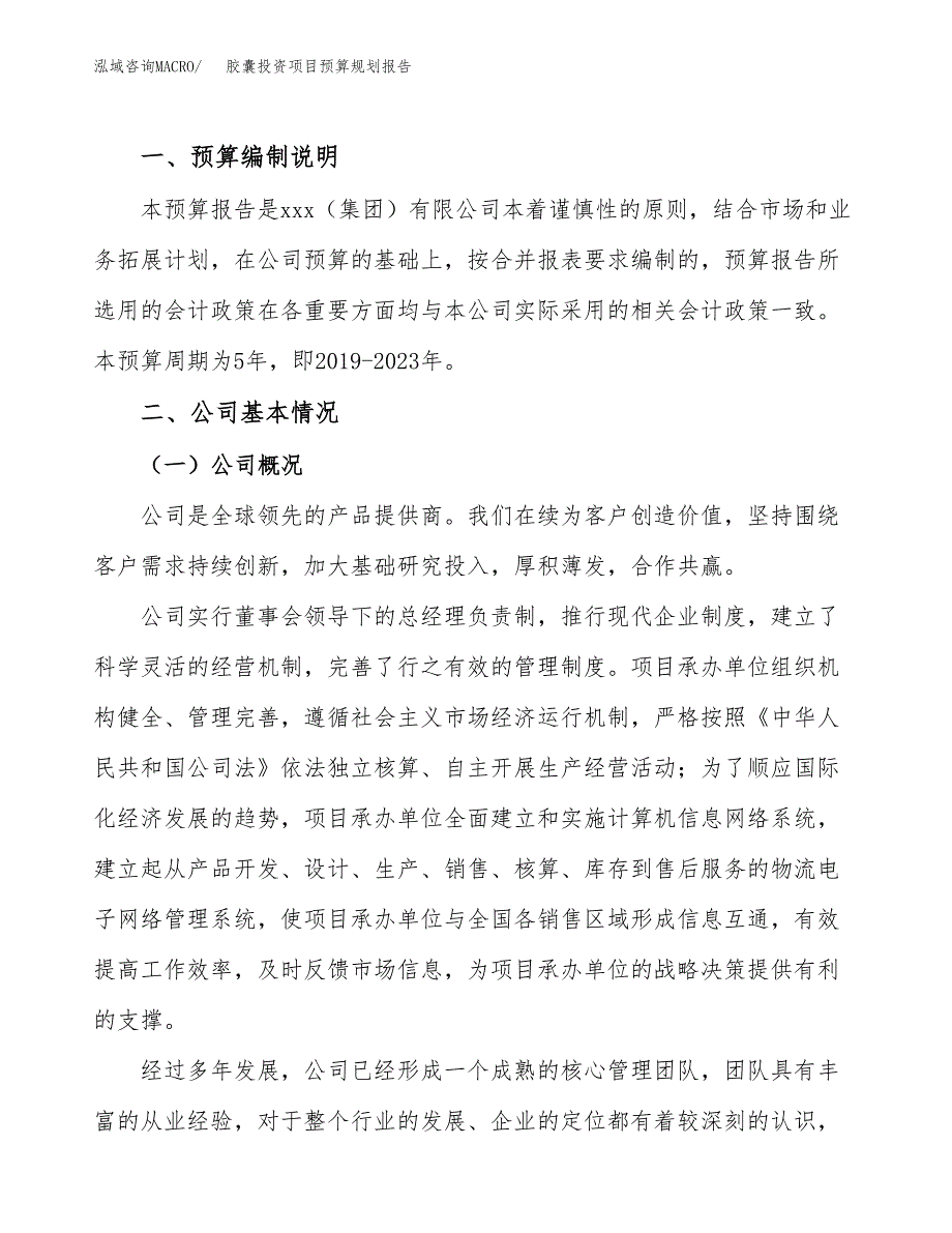 胶囊投资项目预算规划报告_第2页